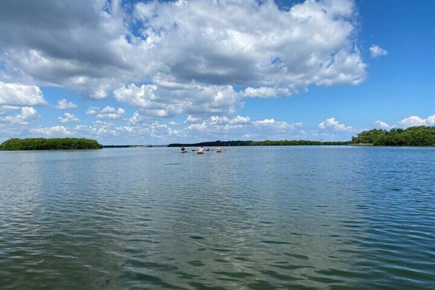 Kayak Adventure at Shell Key Preserve in Tierra Verde