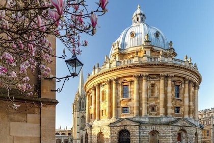 Berømt alumni udendørs flugtspil i Oxford