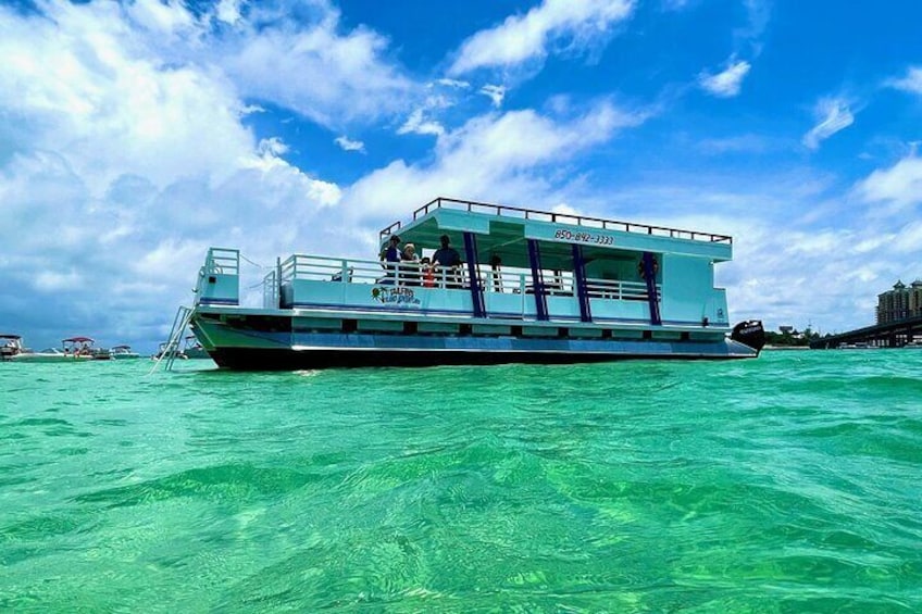  Crab Island and Dolphin Cruise