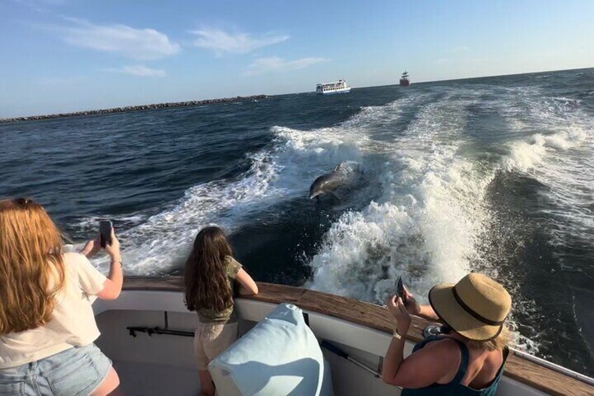What an awesome experience to see them so close.