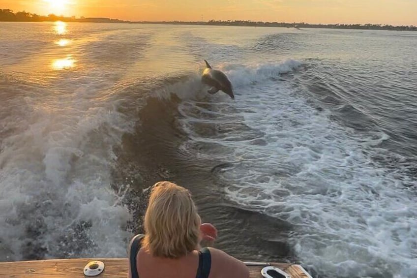 Watching the dolphins jump