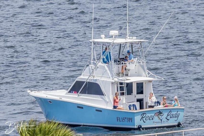 2 Hour Private Dolphin Sightseeing Tour in Panama City Beach