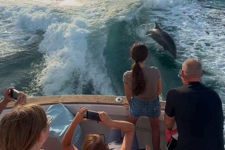 2 Hour Private Dolphin Sightseeing Tour