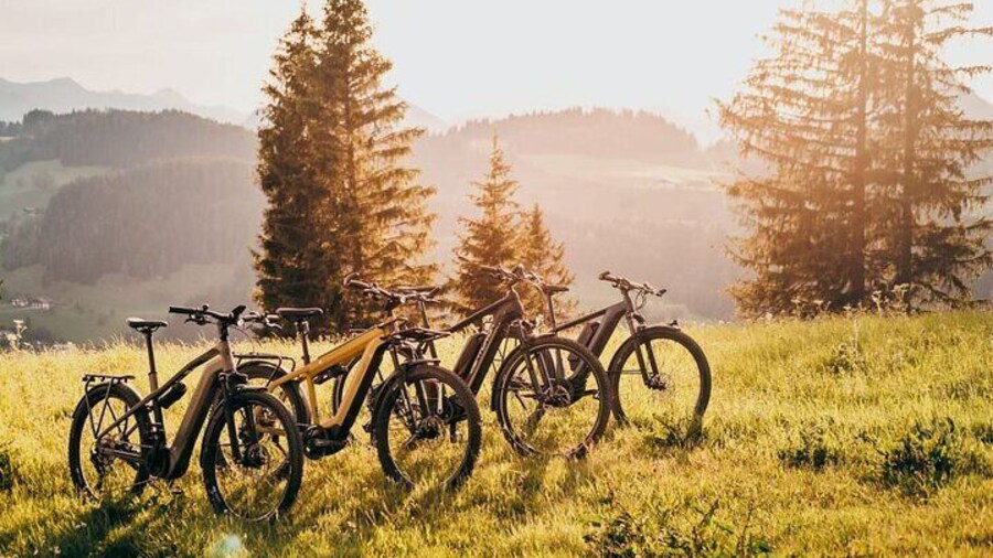 E-Bike Day Trip with Lunch to Harrys Rock or Corfé Castle
