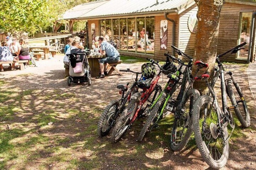 E-Bike Half-Day Tour with Lunch to Harrys Rock or Corfé Castle