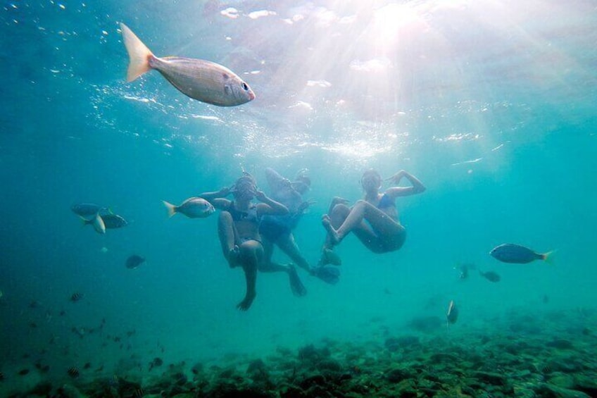 Private Catamaran: Snorkel, Swim and Dolphin Watching