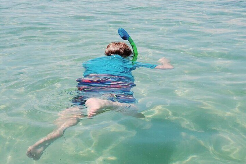 Private Catamaran: Snorkel, Swim and Dolphin Watching