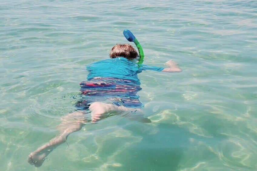 Private Catamaran: Snorkel, Swim and Dolphin Watching