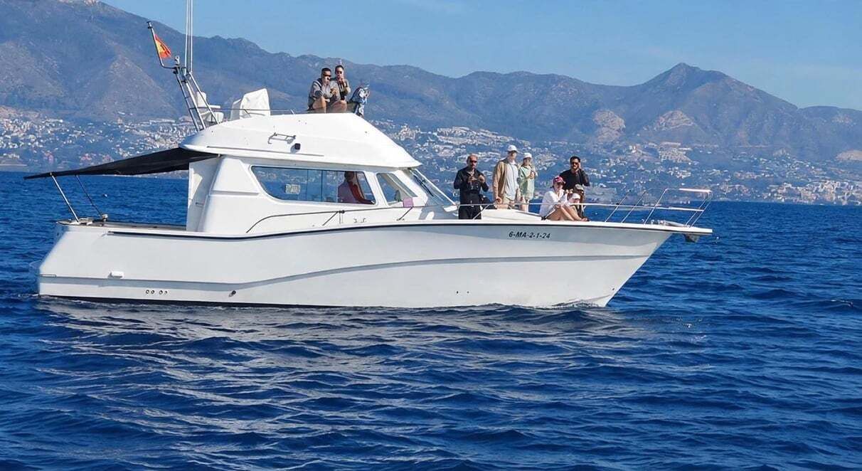 Picture 19 for Activity Fuengirola: Dolphin Watching Trip with Drinks & Snacks