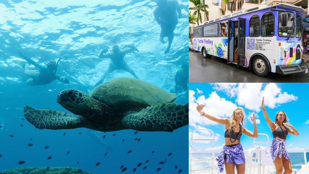 Waikiki Turtle Canyon Snorkeling Hula Dance and Transportation Included