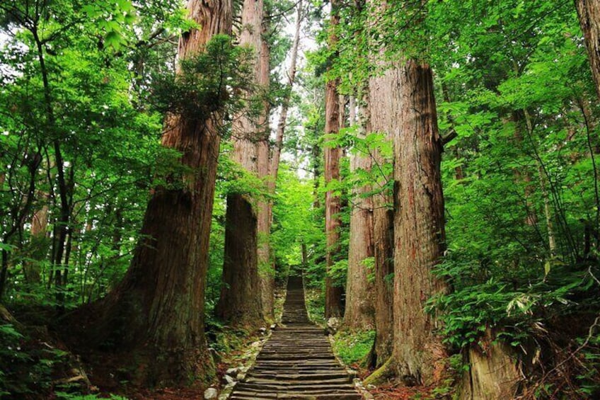 Tsuruoka & Dewa-Sanzan Full-Day Private Tour with Nationally-Licensed Guide