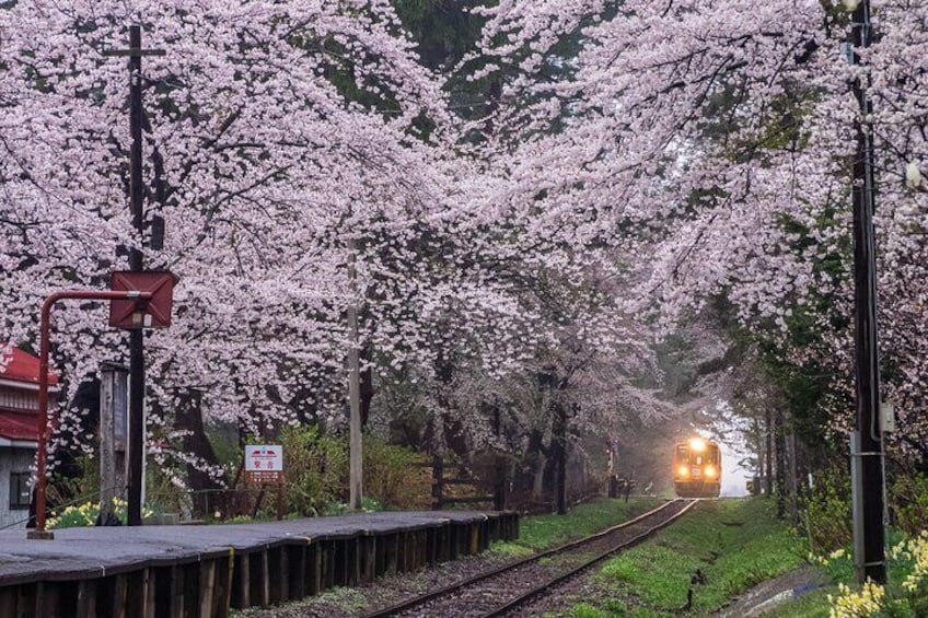 Goshogawara Full-Day Private Tour with Nationally-Licensed Guide