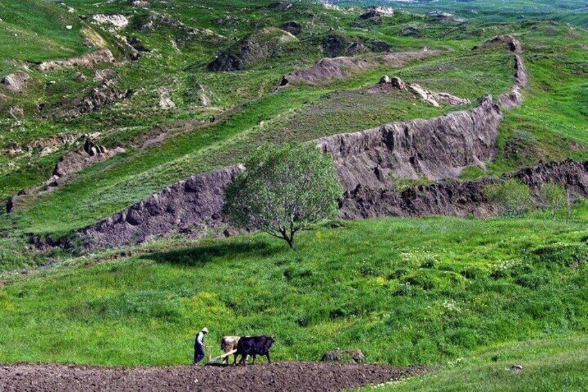 Dogubeyazit City Tour