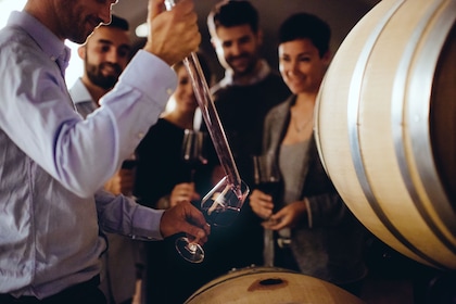Radda in Chianti: Degustazione di vini e pranzo al castello