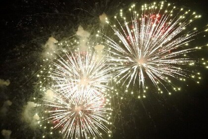 Monday & Thursday Nights Harbor Lights and Fireworks Tiki Tour