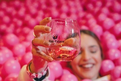 Porto: Pink Palace - Immersive Rosé Wine Museum with 5 Tastings