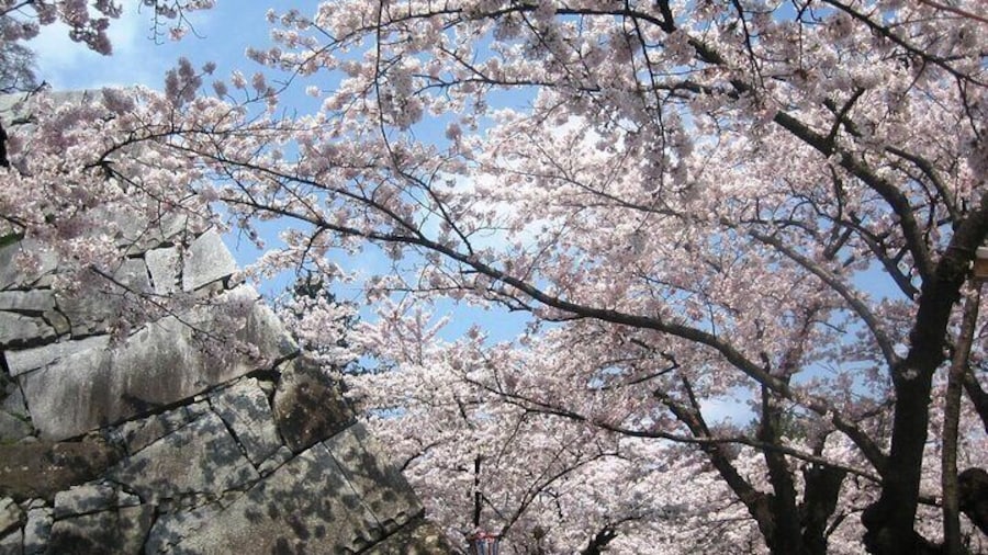 Morioka Half-Day Private Tour with Government-Licensed Guide