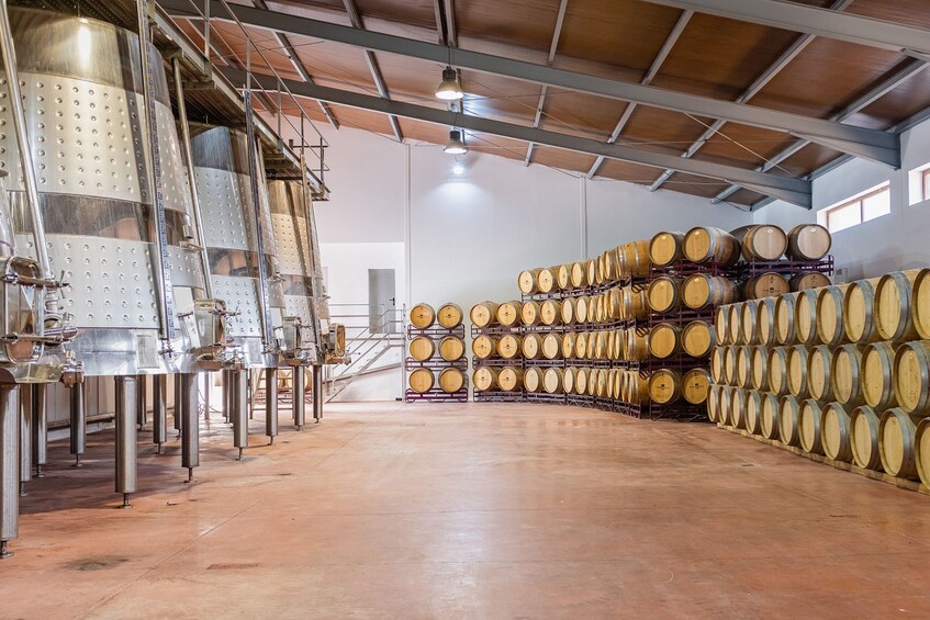 Barrels and dishes of typical local Gastronomy