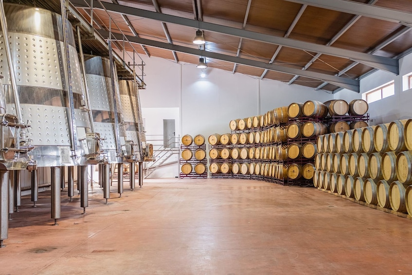 Barrels and dishes of typical local Gastronomy