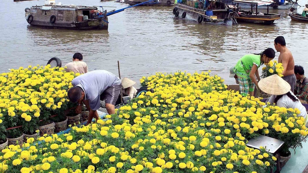Bright yellow flowers sold at the Cai Rang floating market in Mekong Delta