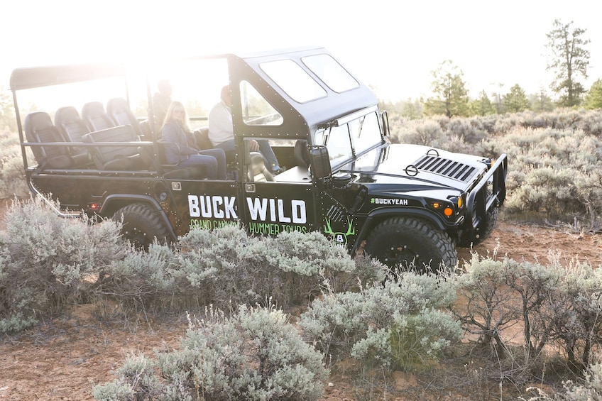 Tour of Grand Canyon via a Hummer 