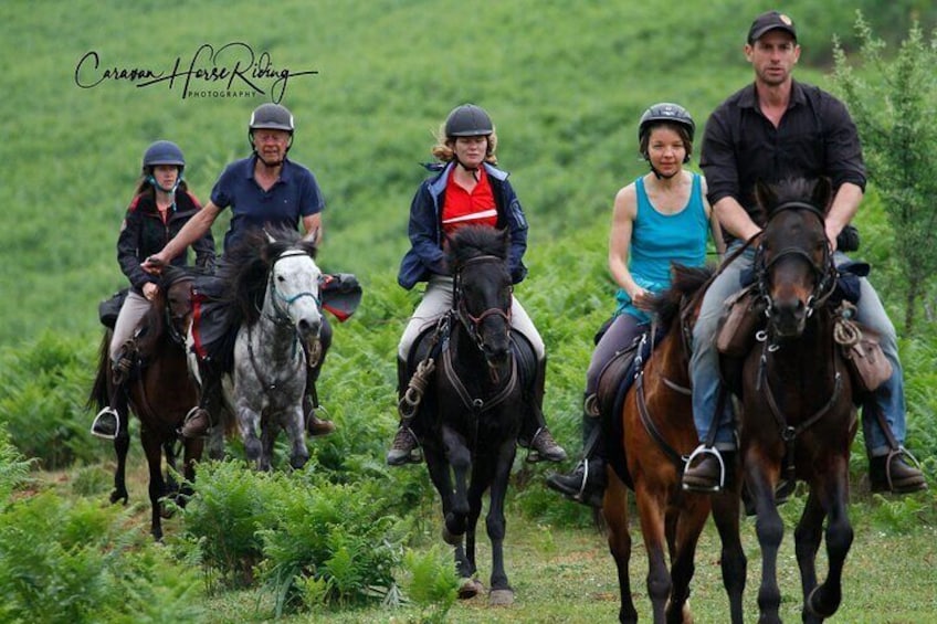 3-Hour Guided Drino's Valley Ride