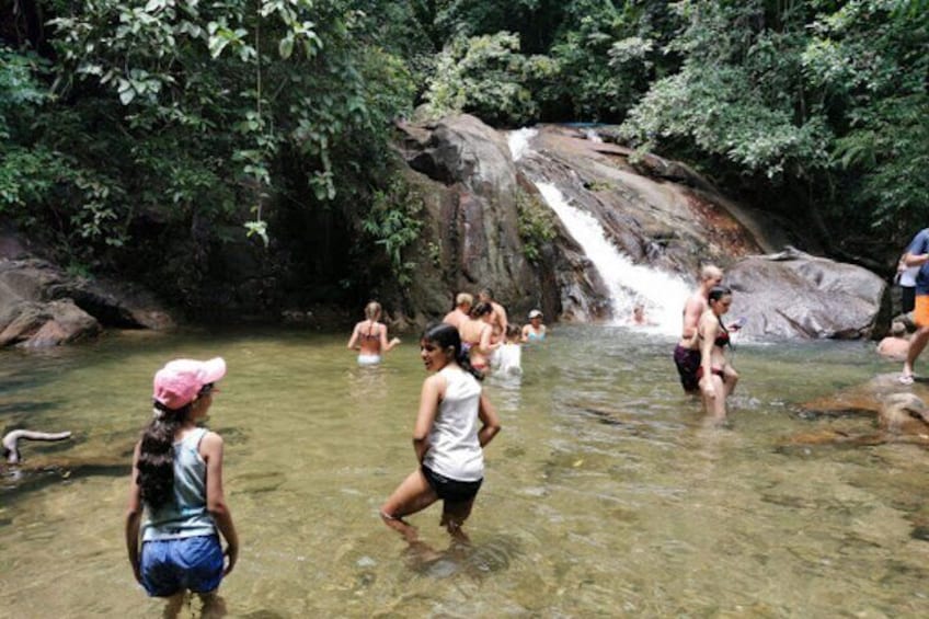 Bamboo Rafting and Sea Turtle Conservation Center Half Day Tour From Khao Lak