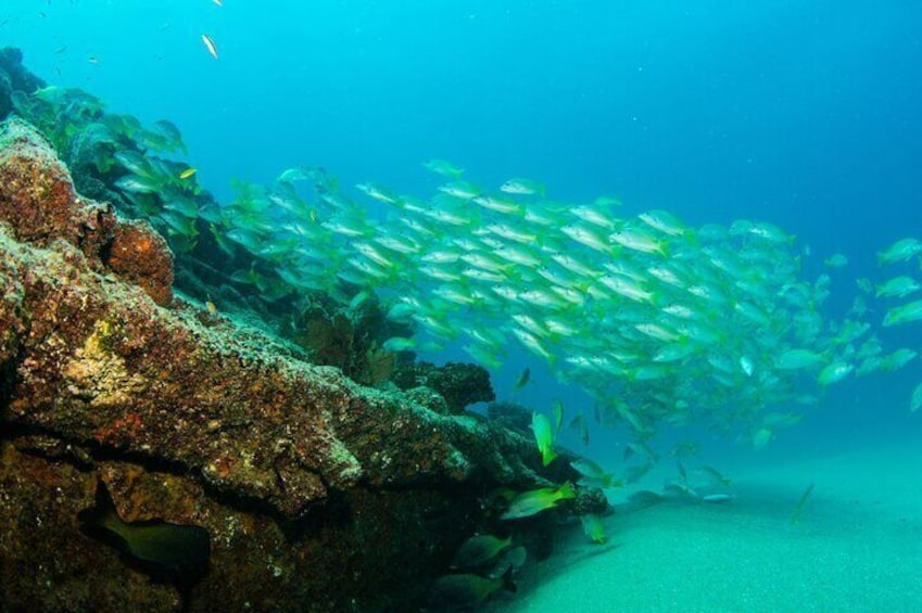 Blue Lagoon - Shipwreck - 3 islands tour with Lunch&Wine tasting - small group