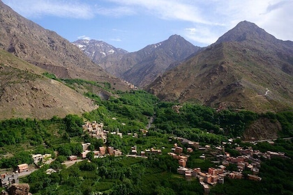 Hiking and summiting the Atlas Mountains day trip from Marrakech