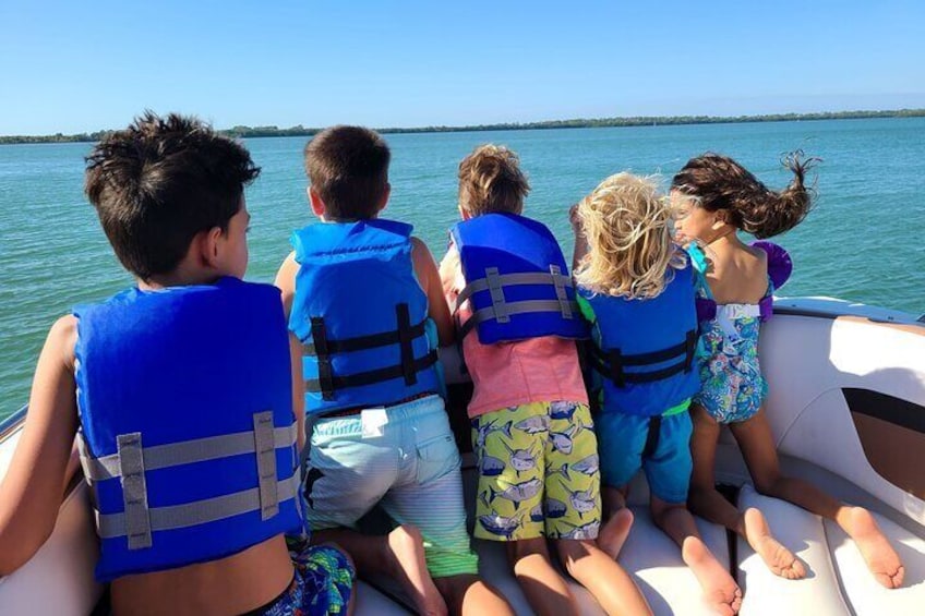 Kids love watching the wild dolphins up close!