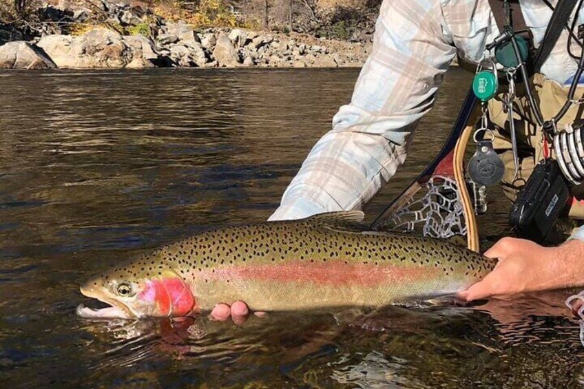 Solo Angler's Private Full Day Fly Fishing Adventure