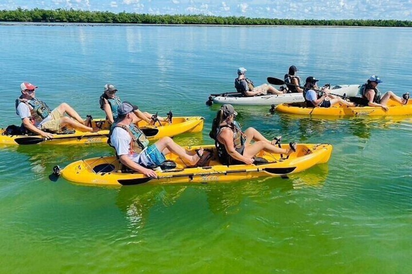 Deluxe Kayak Tour Marco Island and Naples, Florida