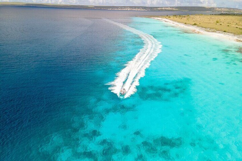 REVOLVE boat tours