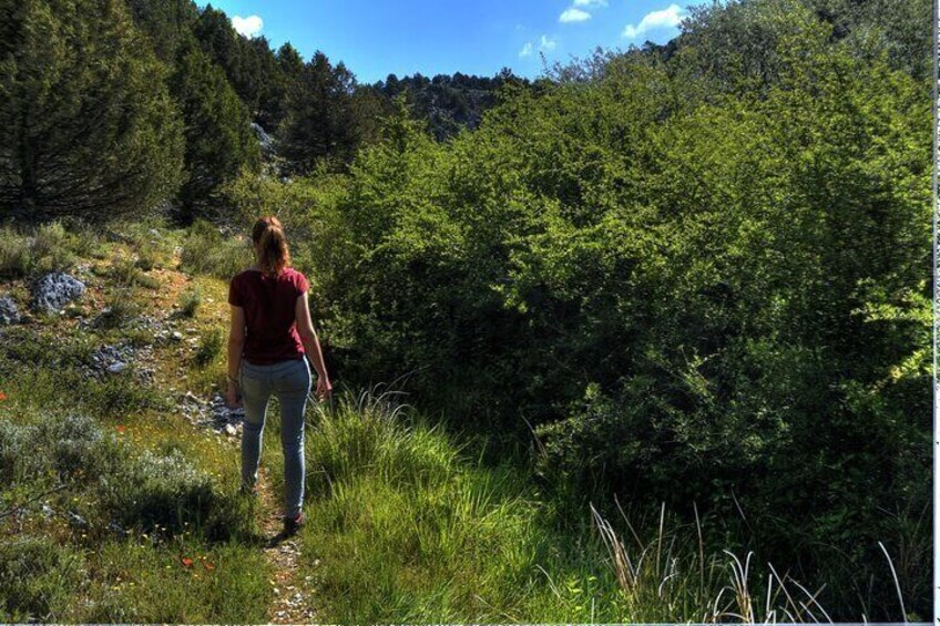 Sabinares del Arlanza Nature Route