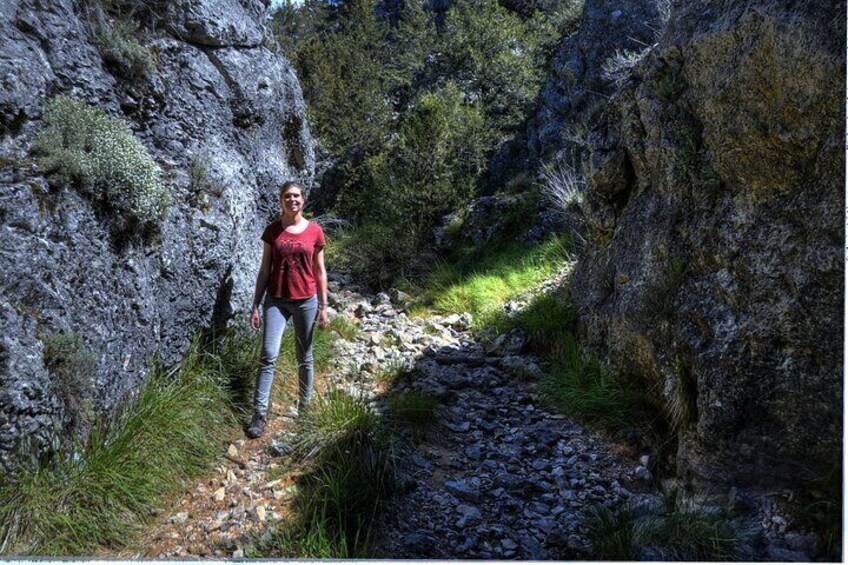 Sabinares del Arlanza Nature Route
