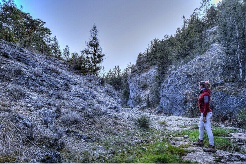 Sabinares del Arlanza Nature Route