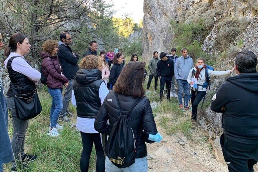 Sabinares del Arlanza Nature Route
