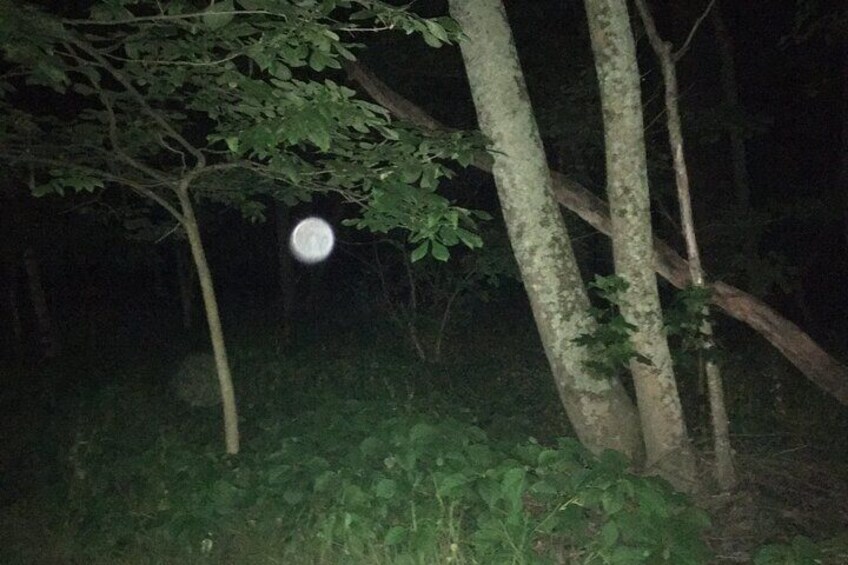 Giant orb