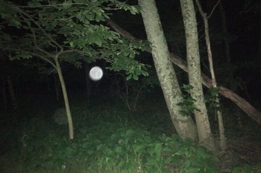 Giant orb