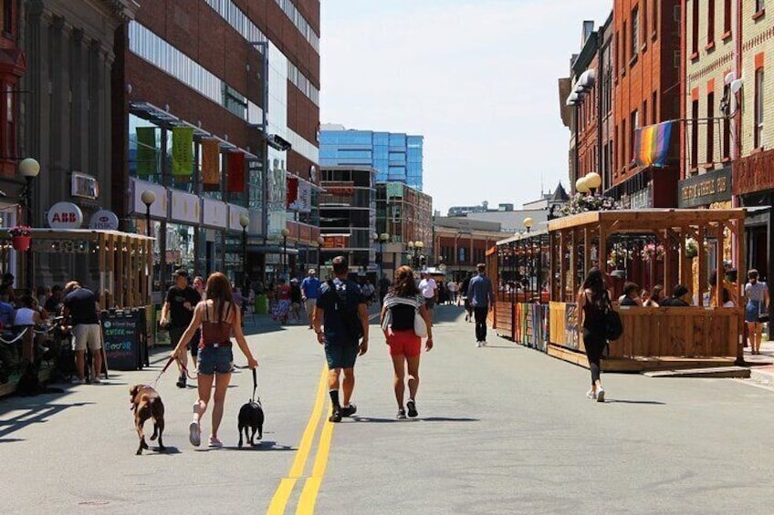 The best of St. John's walking tour