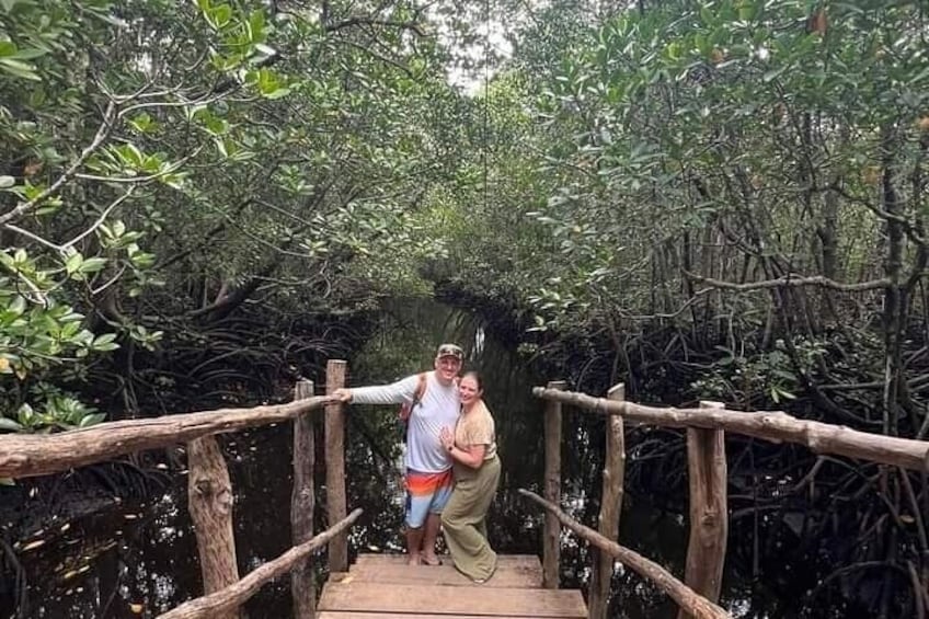Jozani forest