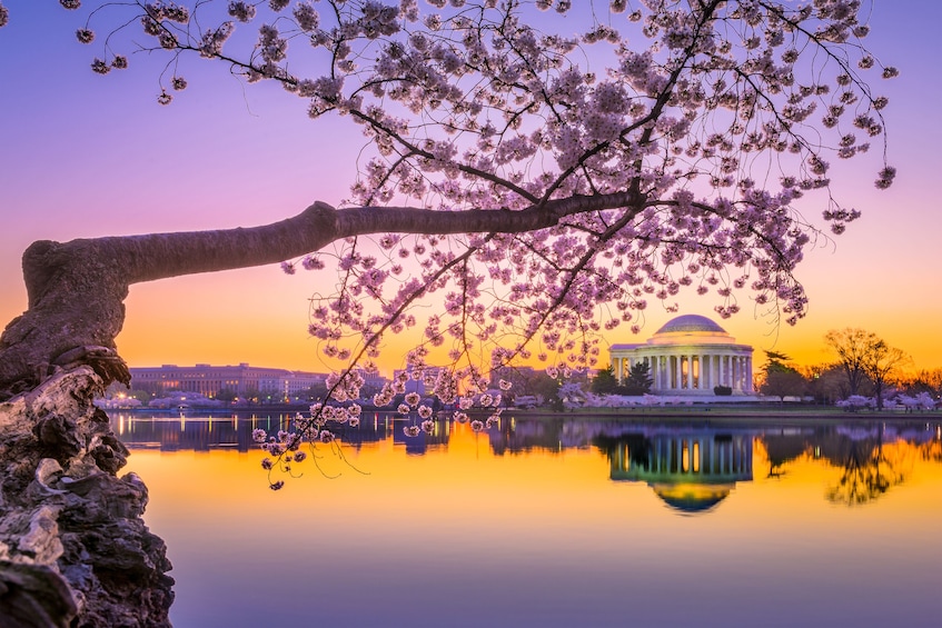 Best of DC - VIP Bus Tour
