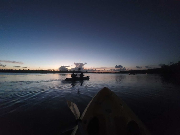 Bioluminescent Bay Night Kayaking Experience in Fajardo
