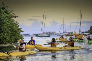 Bioluminescent Bay Night Kayaking Experience -Fajardo