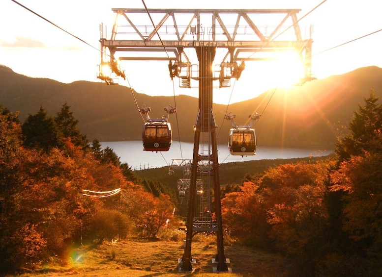 Picture 3 for Activity Hakone: Train Pass with Unlimited Rides & Activity Discounts