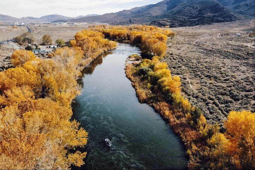 Guided Fly Fishing on Truckee River, Lake Tahoe, Truckee and Reno