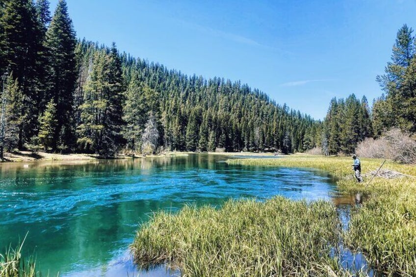 Guided Fly Fishing on Truckee River, Lake Tahoe, Truckee and Reno
