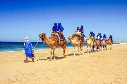 Blue Hole and Dahab Canyon , Lunch , Camel Ride - Sharm ElSheikh