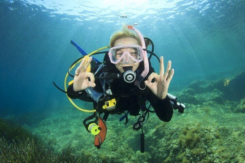 Full-day Scuba Diving Experience for Beginners with Lunch