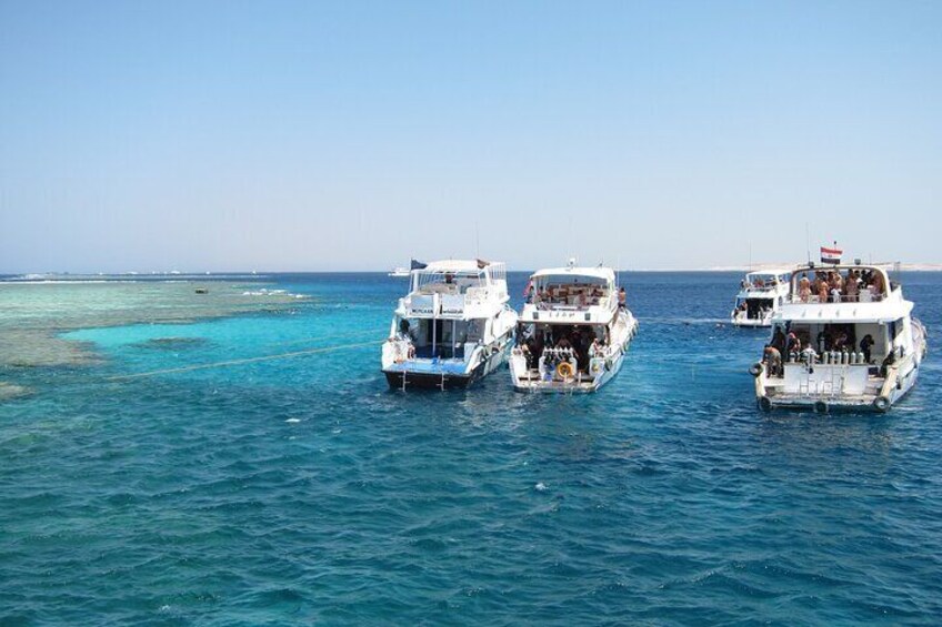 Tiran Island Full Day Snorkeling Sea Trip & intro dive 15 min - Sharm El Sheikh